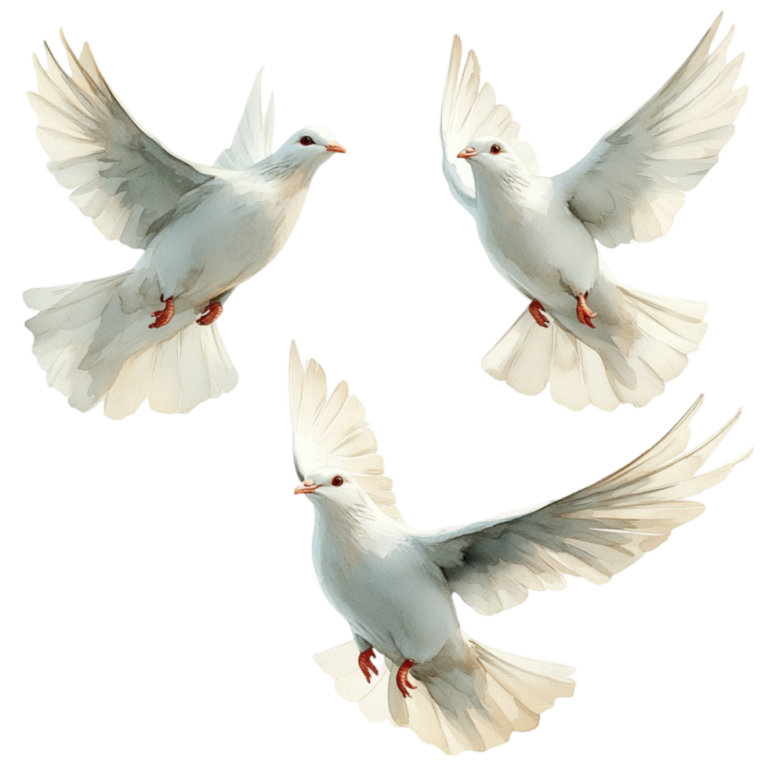 peaceful white dove flying free png